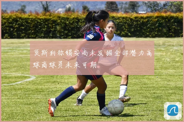 莫斯利称锡安尚未发掘全部潜力高球商球员未来可期