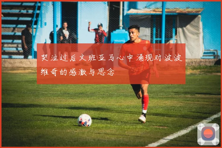 哭泣过后文班亚马心中涌现对波波维奇的感激与思念