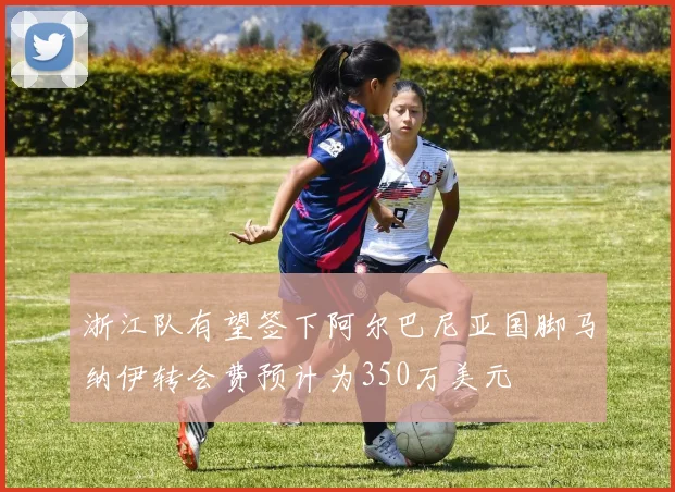 浙江队有望签下阿尔巴尼亚国脚马纳伊转会费预计为350万美元